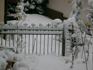 Oktoberschnee in Rosenfeld