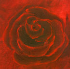 Rose rot