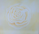 Rose wei�